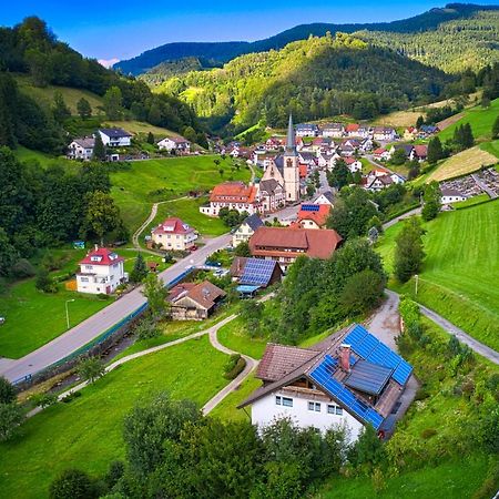 Steepleview House, Schwarzwaldblick Apartment - Spacious & Peaceful Bad Peterstal-Griesbach Esterno foto