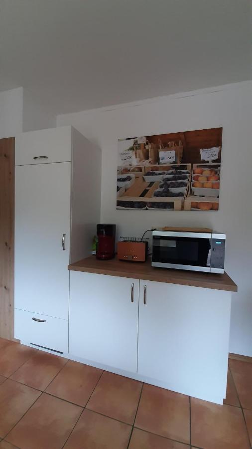 Steepleview House, Schwarzwaldblick Apartment - Spacious & Peaceful Bad Peterstal-Griesbach Esterno foto