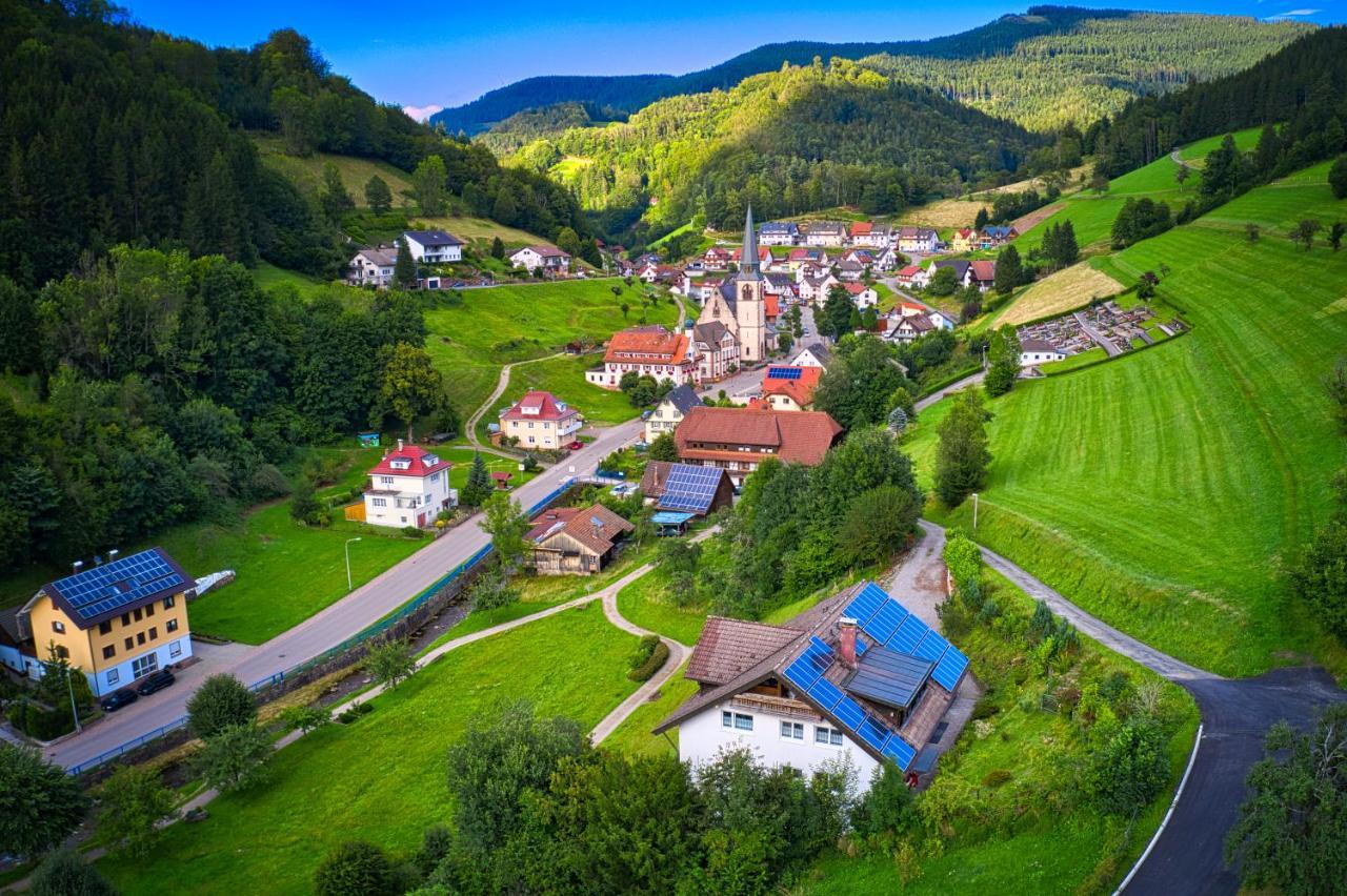 Steepleview House, Schwarzwaldblick Apartment - Spacious & Peaceful Bad Peterstal-Griesbach Esterno foto